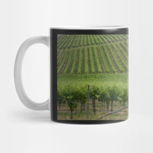 Vineyards 4 Mug